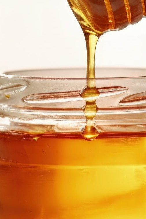 Alfalfa Honey Ladakh