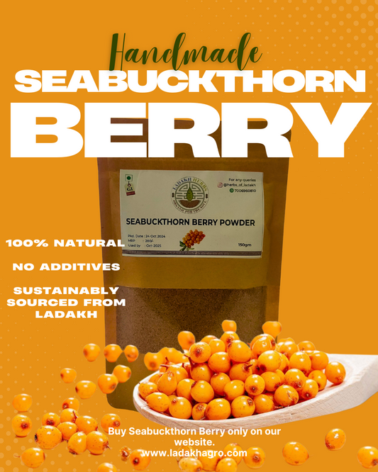 Seabuckthorn Berry