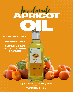 Apricot Oil