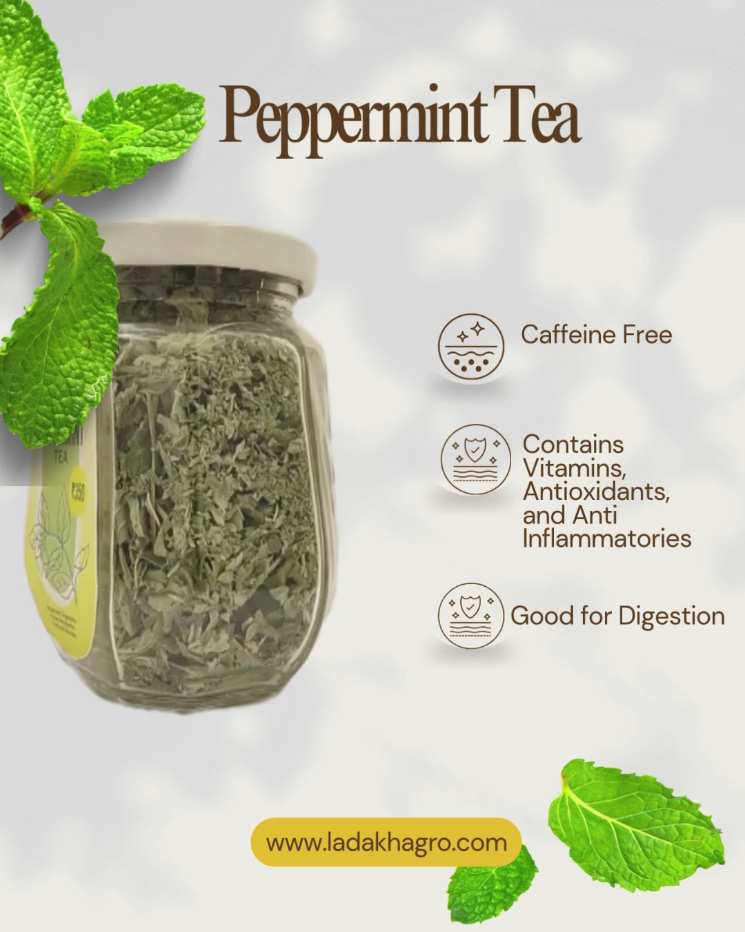 Peppermint Tea Main image
